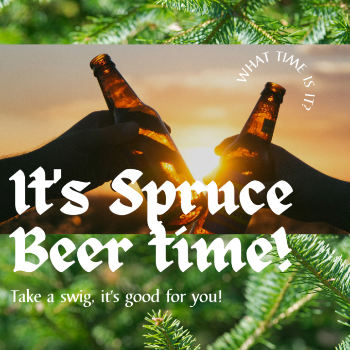 Two bottles of spruce beer clinks in a cheer with spruce tips